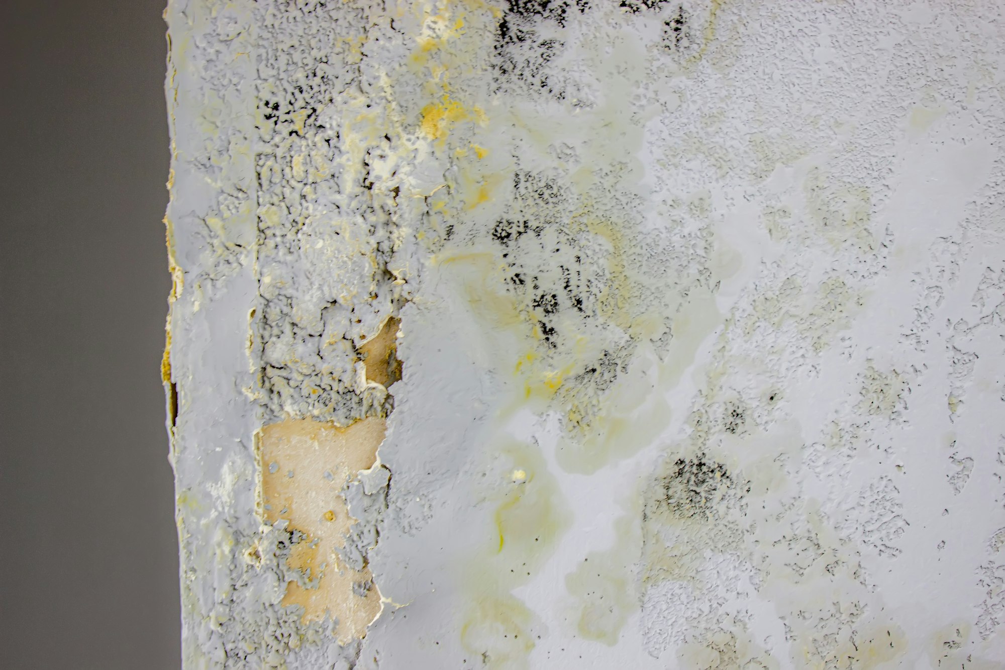 black mold on the wall. Fungus on the wall after the flooding of the house.